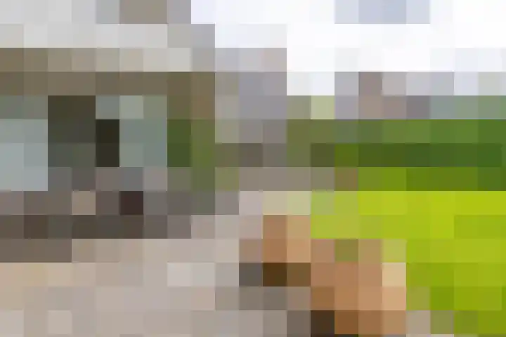 De Woudhorne 37 Dokkum thumbnail 11