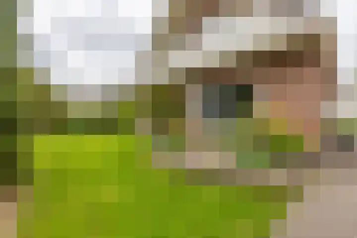De Woudhorne 37 Dokkum thumbnail 15
