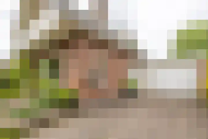 De Woudhorne 37 Dokkum thumbnail 16