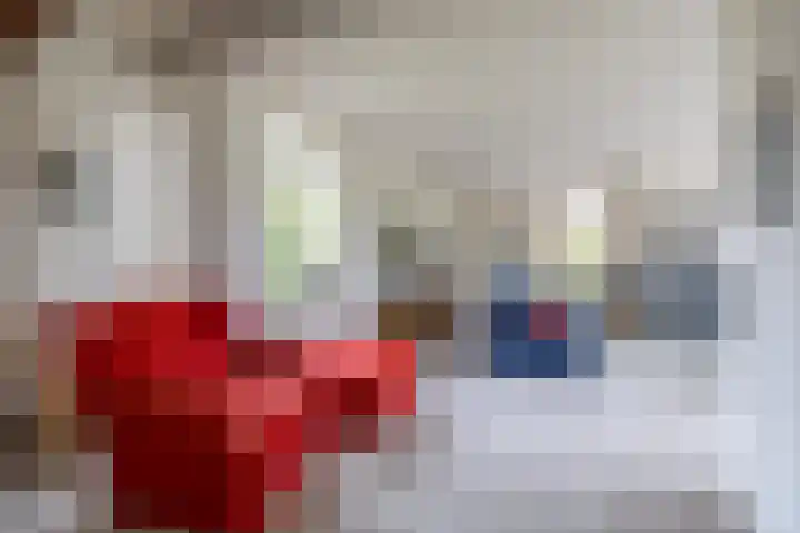 De Woudhorne 37 Dokkum thumbnail 23