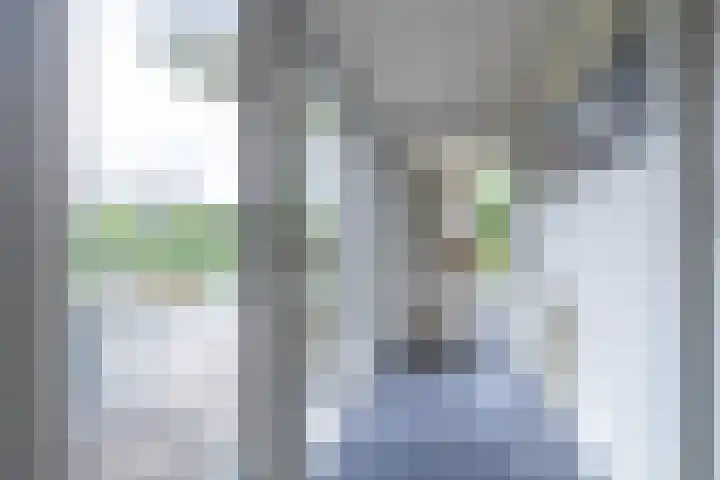 De Woudhorne 37 Dokkum thumbnail 31