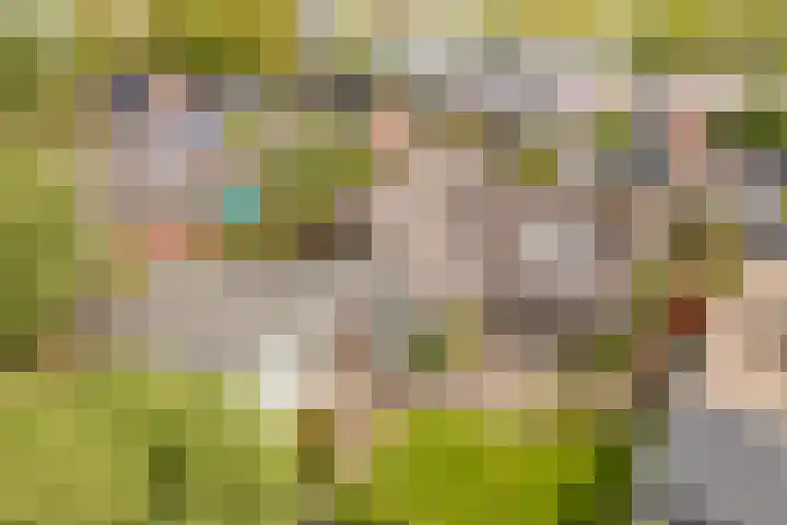 De Woudhorne 37 Dokkum thumbnail 4