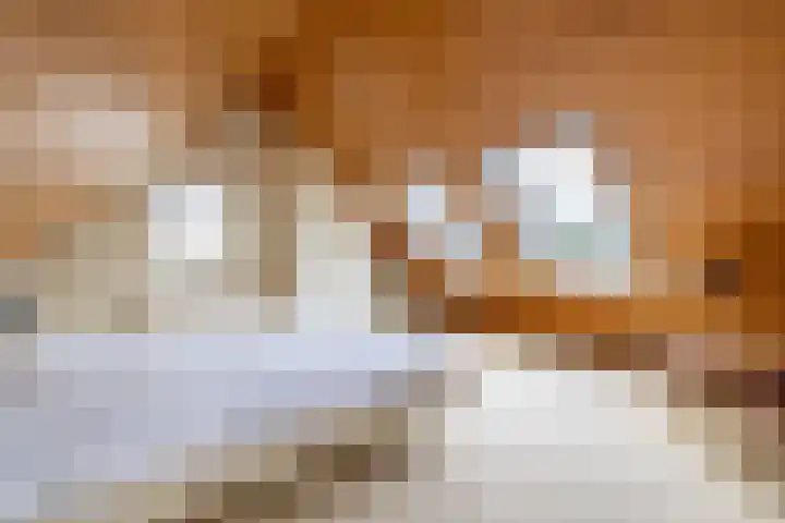 De Woudhorne 37 Dokkum thumbnail 41