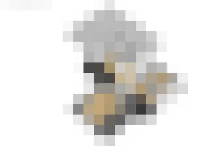 De Woudhorne 37 Dokkum thumbnail 64