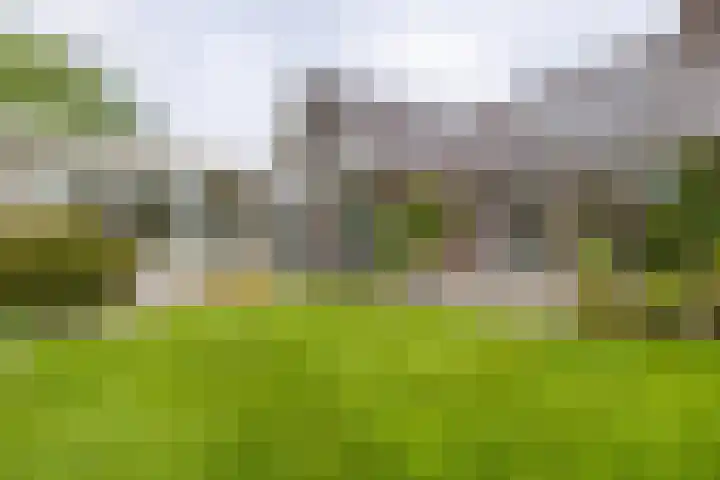 De Woudhorne 37 Dokkum thumbnail 9