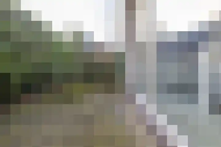 De Woudhorne 43 A Dokkum thumbnail 42