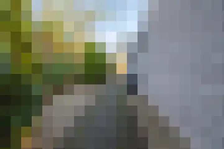 De Woudhorne 43 A Dokkum thumbnail 43