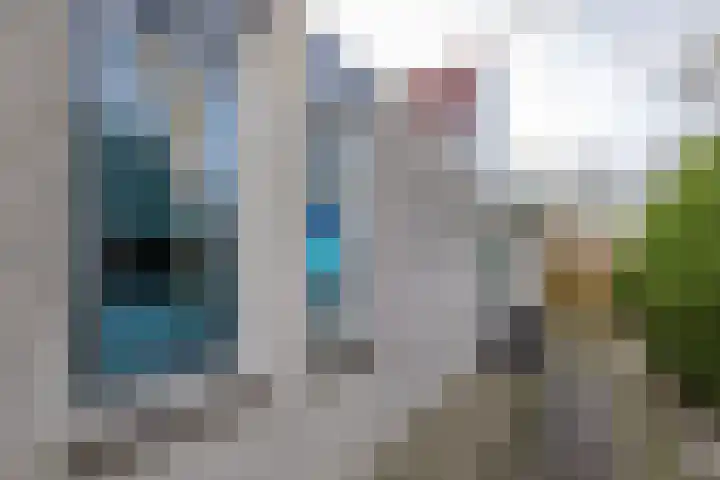 De Woudhorne 43 A Dokkum thumbnail 44