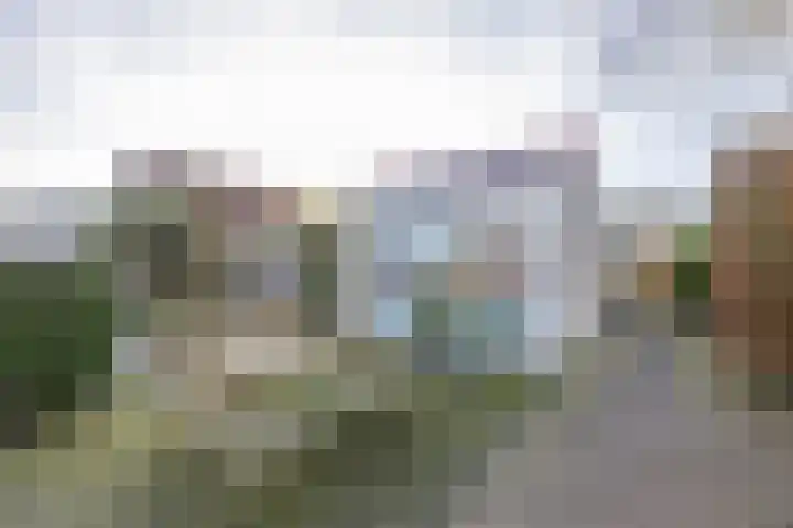 De Woudhorne 43 A Dokkum thumbnail 45
