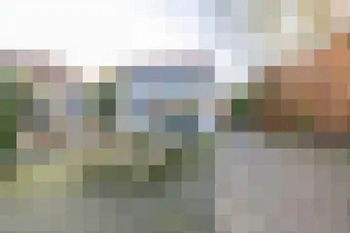 De Woudhorne 43 A Dokkum thumbnail 46