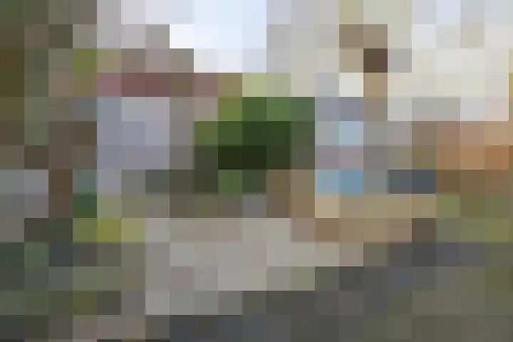 De Woudhorne 43 A Dokkum thumbnail 47
