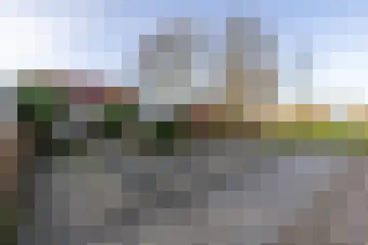 De Woudhorne 43 A Dokkum thumbnail 48