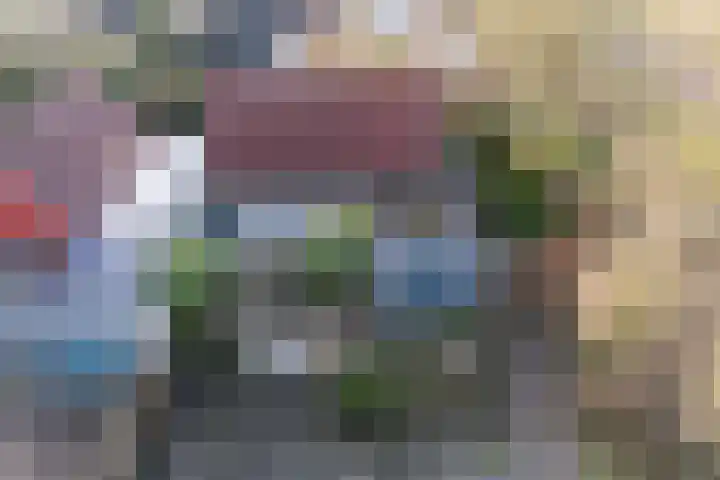 De Woudhorne 43 A Dokkum thumbnail 5
