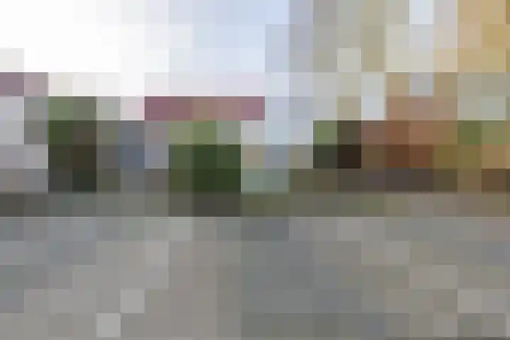 De Woudhorne 43 A Dokkum thumbnail 50