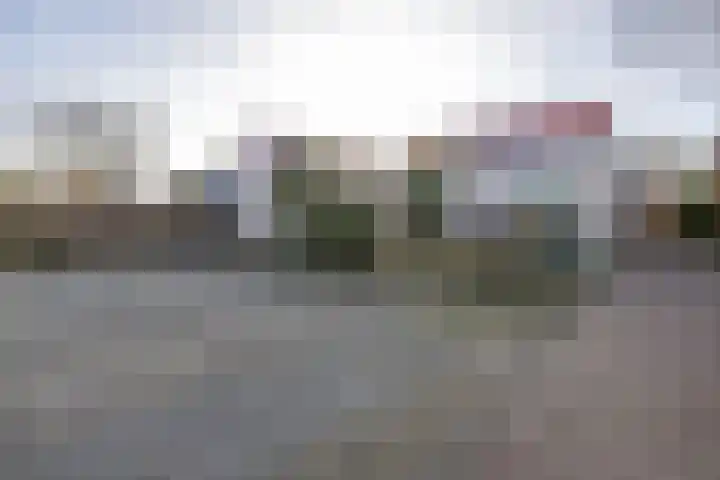 De Woudhorne 43 A Dokkum thumbnail 52