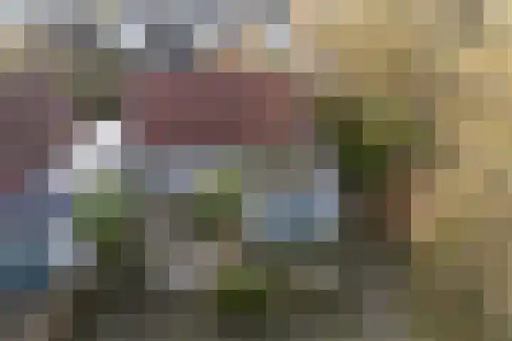 De Woudhorne 43 A Dokkum thumbnail 54
