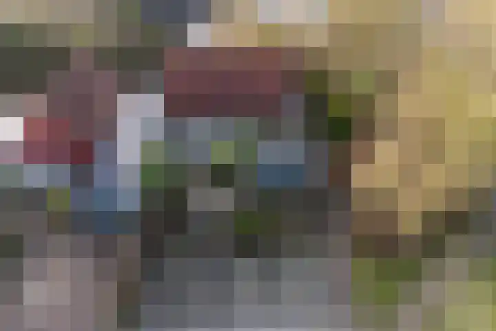 De Woudhorne 43 A Dokkum thumbnail 57