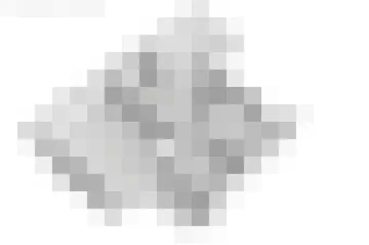 De Woudhorne 43 A Dokkum thumbnail 74