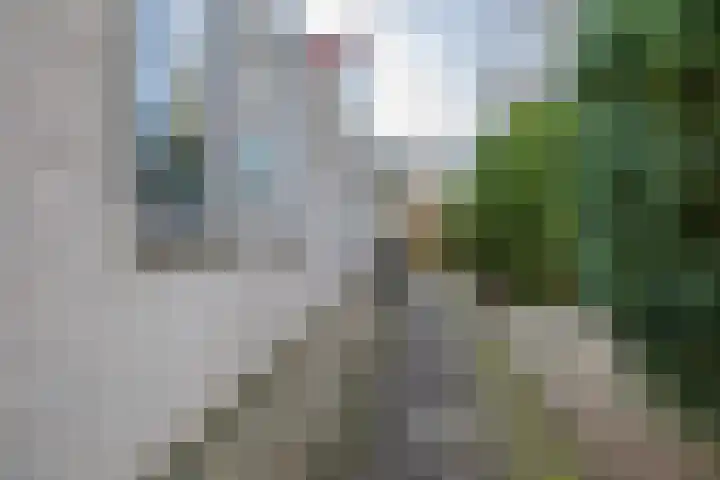 De Woudhorne 43 A Dokkum thumbnail 8
