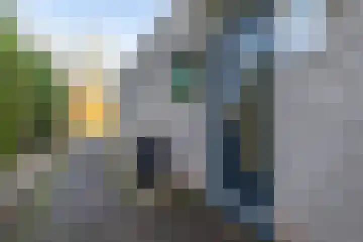 De Woudhorne 43 A Dokkum thumbnail 9