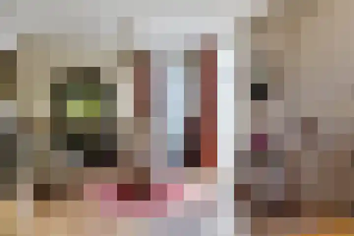 De Woudhorne 43 Dokkum thumbnail 10