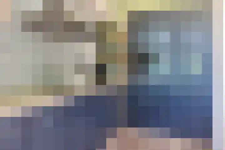 De Woudhorne 43 Dokkum thumbnail 14