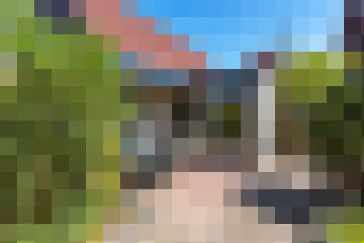 De Woudhorne 43 Dokkum thumbnail 17