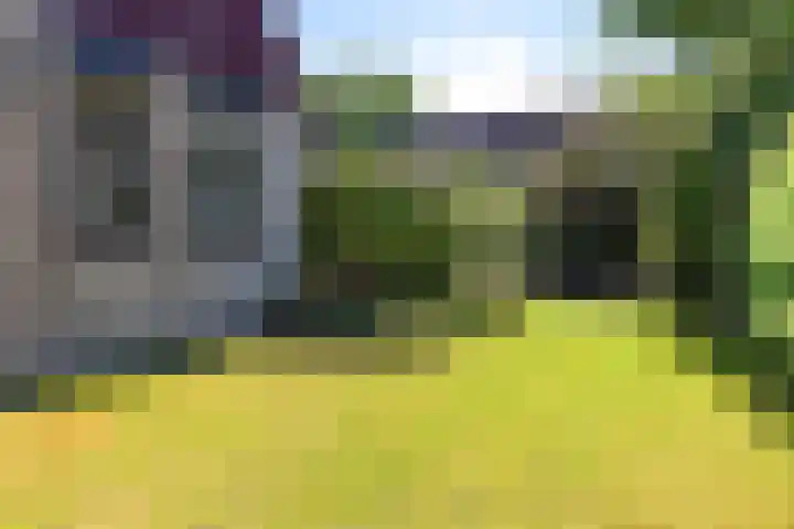 De Woudhorne 43 Dokkum thumbnail 18