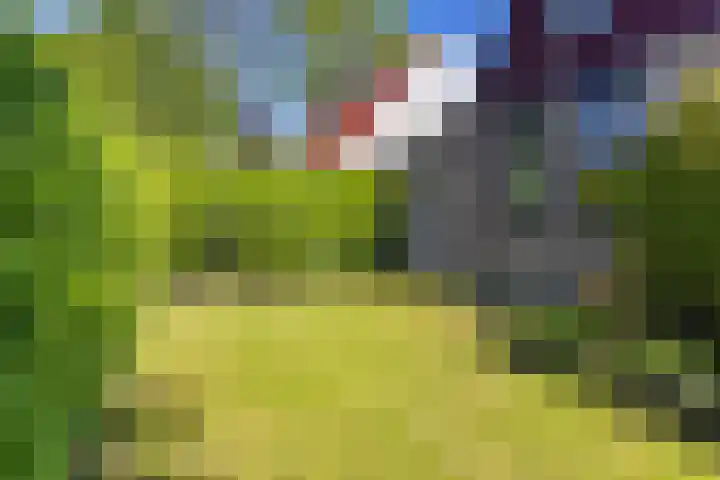 De Woudhorne 43 Dokkum thumbnail 19