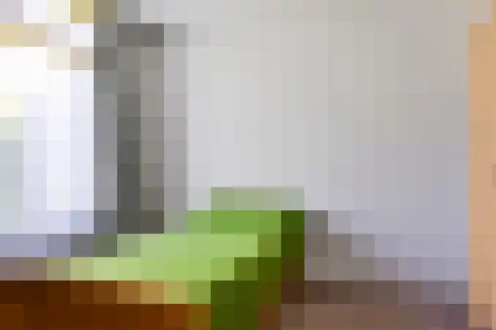 De Woudhorne 43 Dokkum thumbnail 21