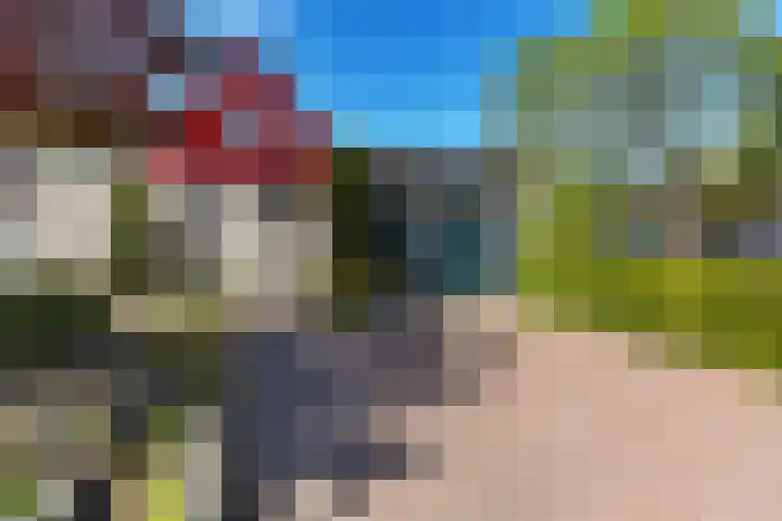 De Woudhorne 43 Dokkum thumbnail 32