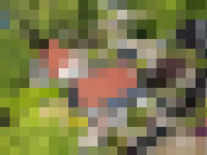 De Woudhorne 43 Dokkum thumbnail 34