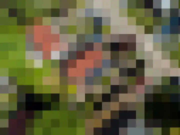 De Woudhorne 43 Dokkum thumbnail 35