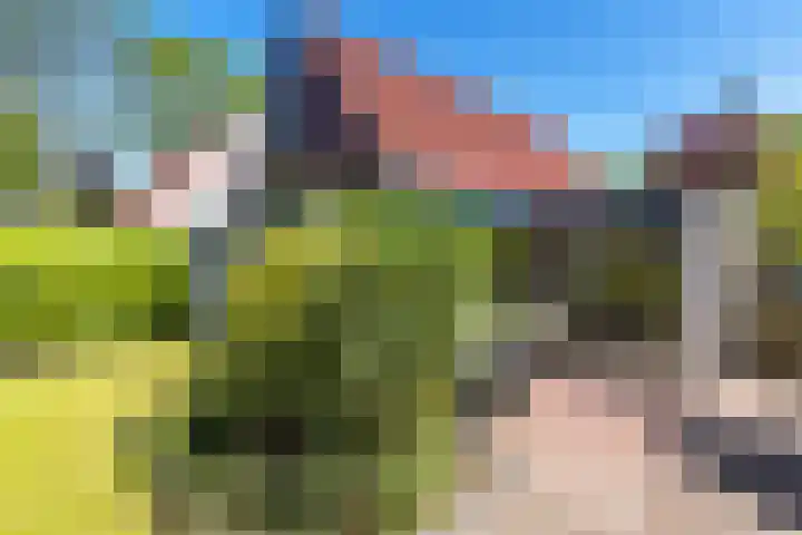 De Woudhorne 43 Dokkum thumbnail 4