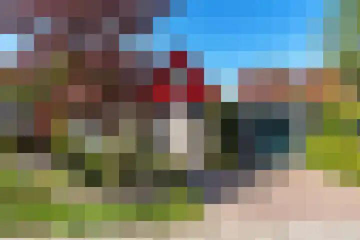 De Woudhorne 43 Dokkum thumbnail 5