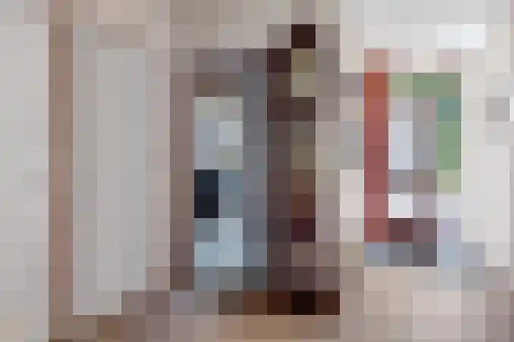 De Woudhorne 43 Dokkum thumbnail 6