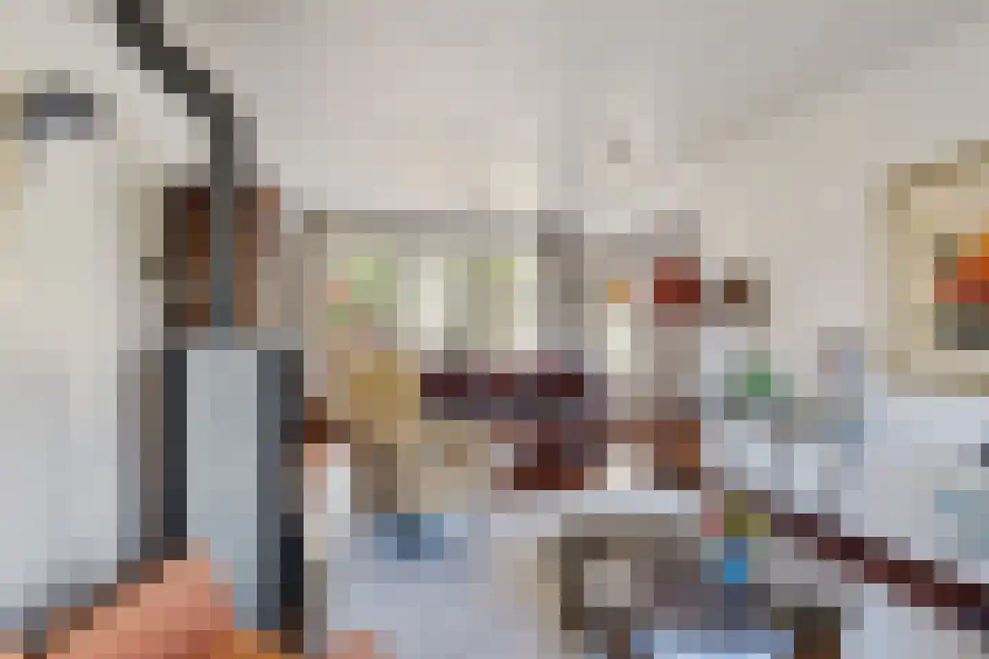 De Woudhorne 82 Dokkum thumbnail 12