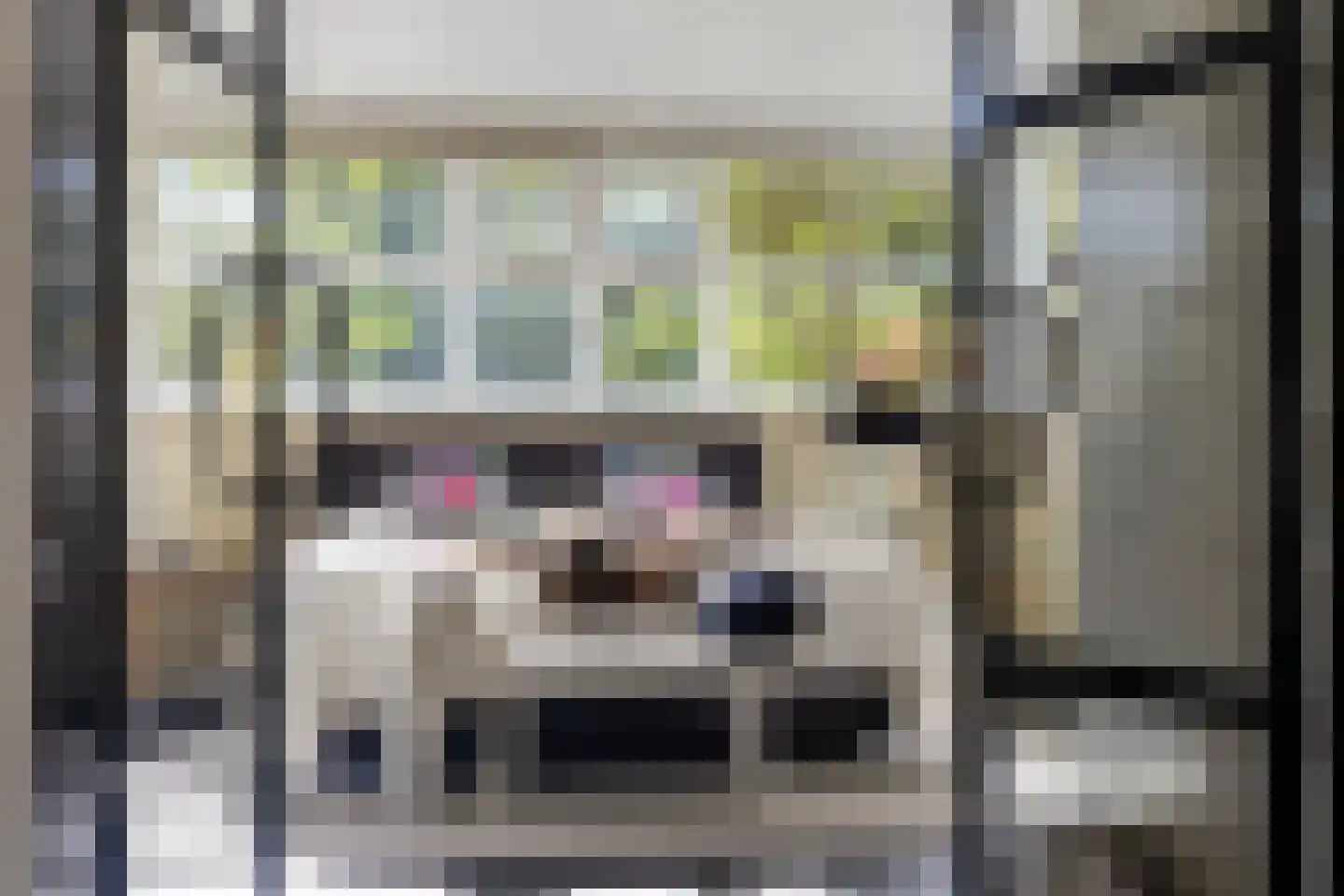 De Woudhorne 82 Dokkum thumbnail 14