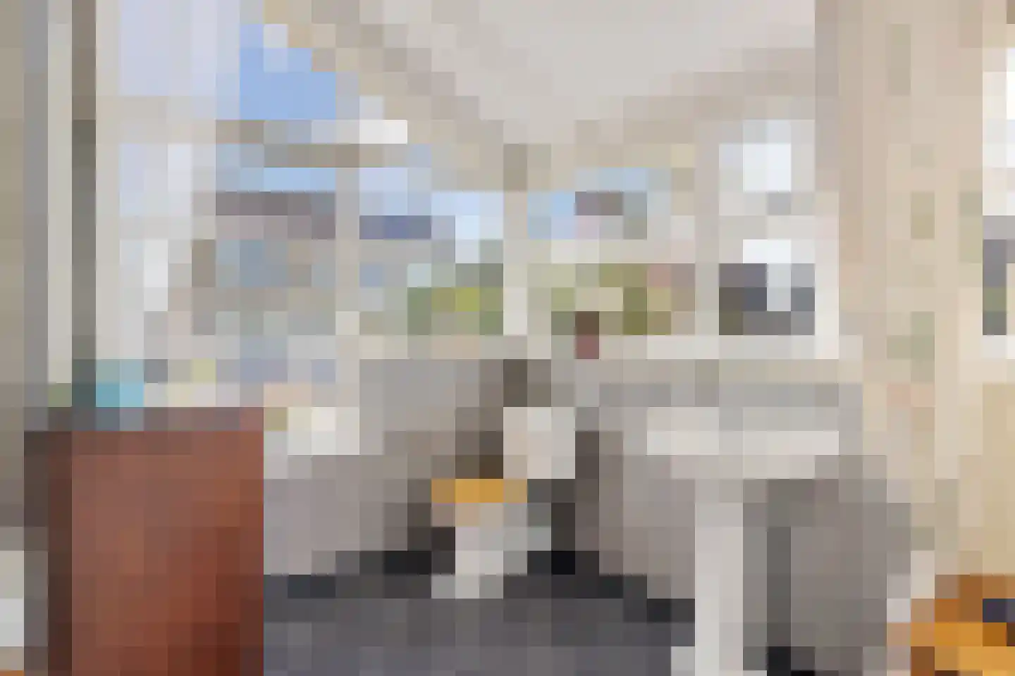 De Woudhorne 82 Dokkum thumbnail 15