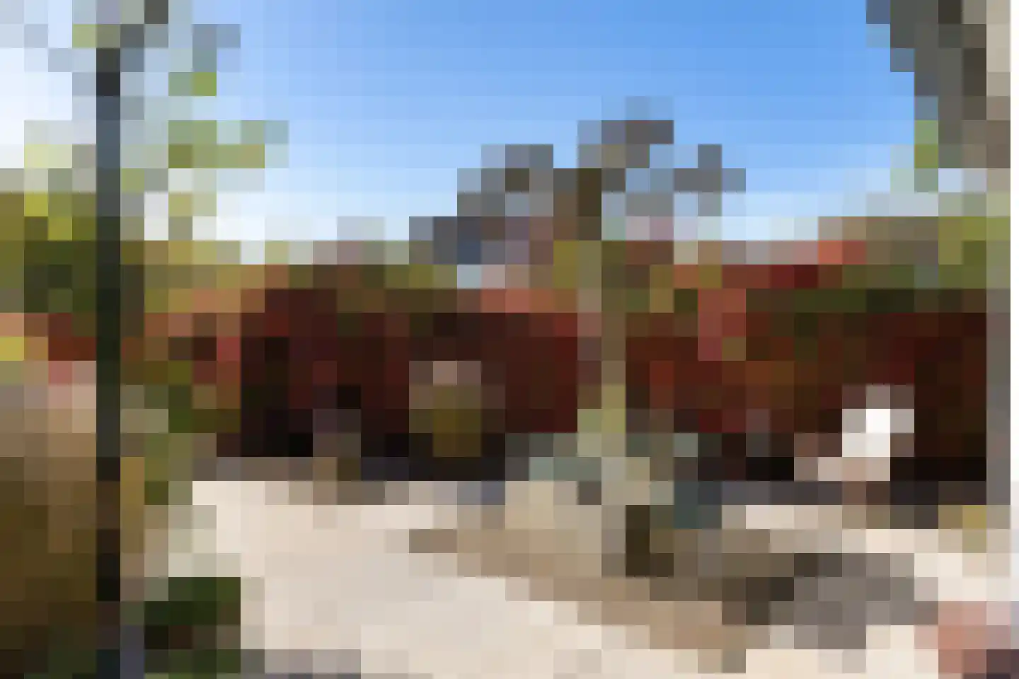 De Woudhorne 82 Dokkum thumbnail 23