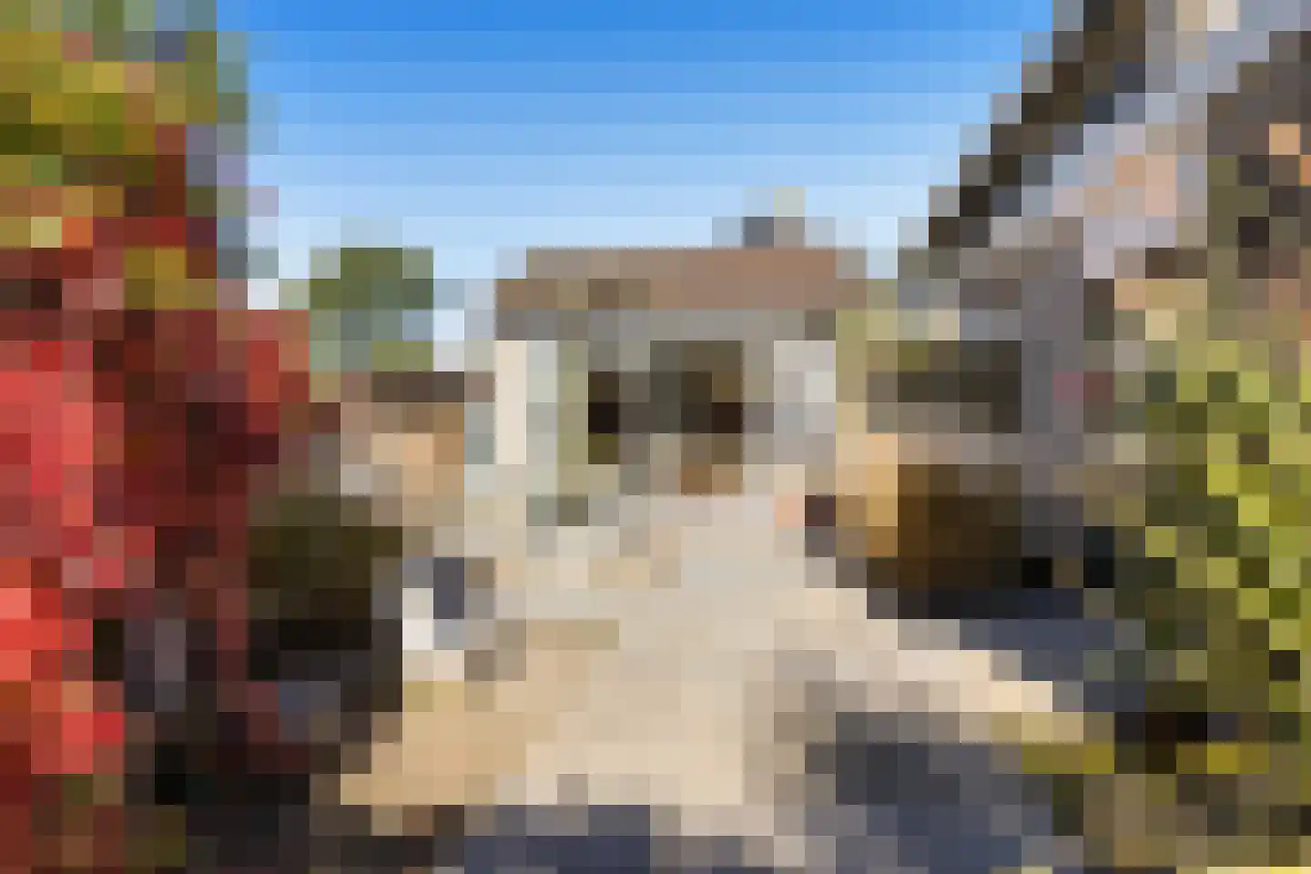 De Woudhorne 82 Dokkum thumbnail 25