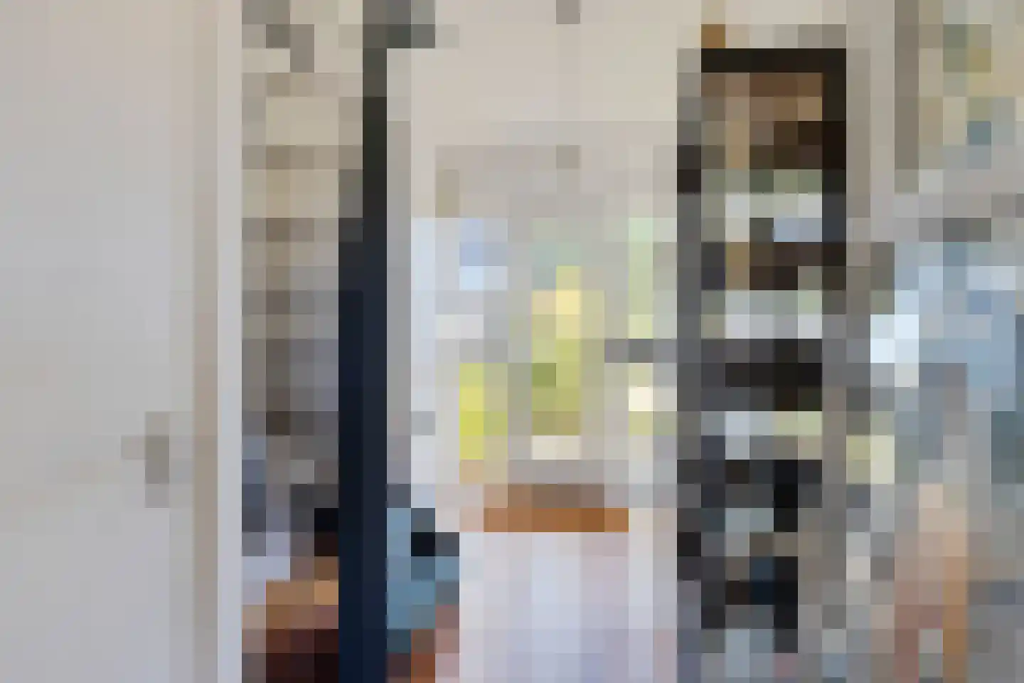 De Woudhorne 82 Dokkum thumbnail 26
