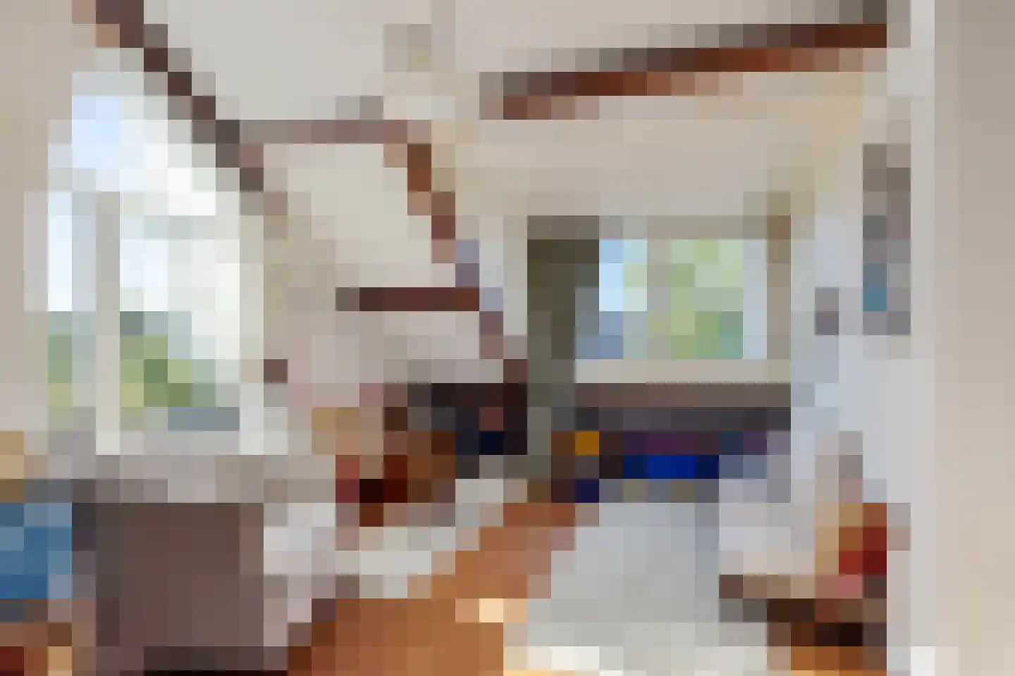De Woudhorne 82 Dokkum thumbnail 39