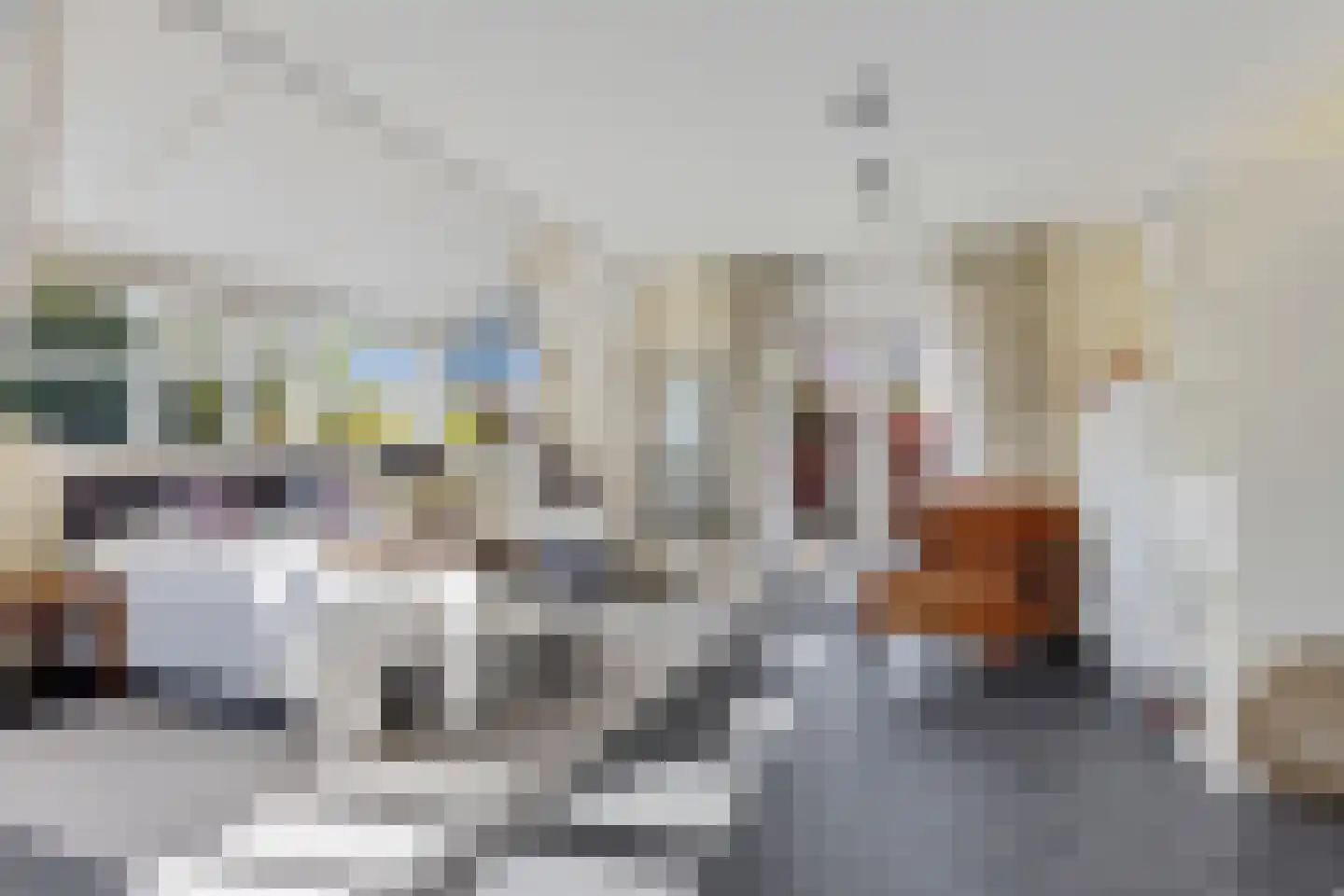 De Woudhorne 82 Dokkum thumbnail 5