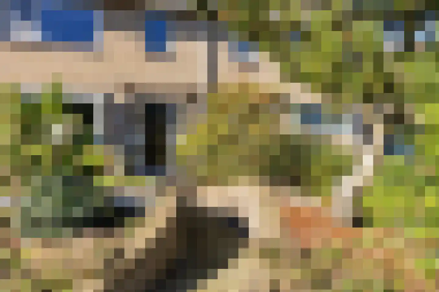 De Woudhorne 82 Dokkum thumbnail 6
