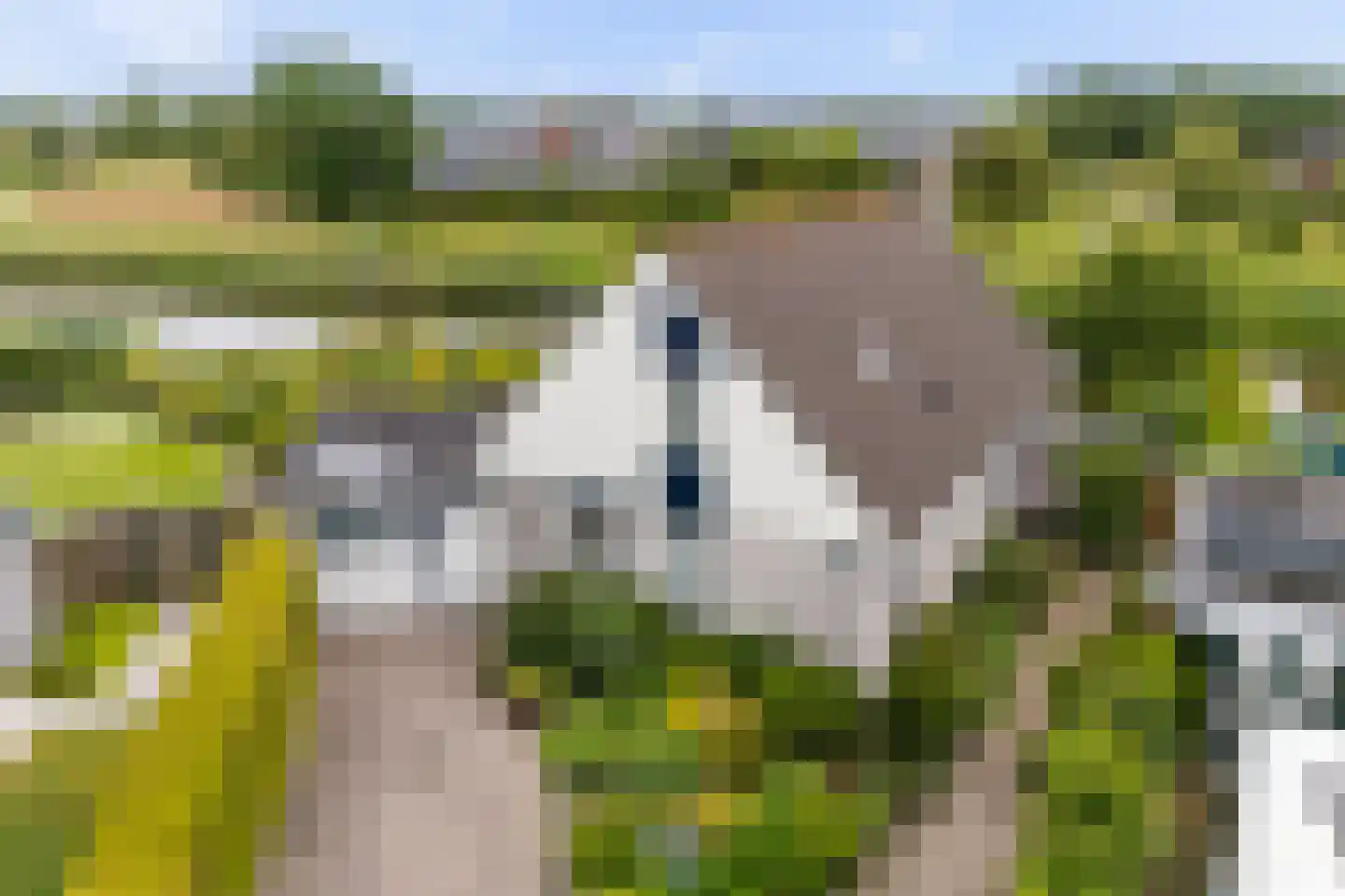 De Woudhorne 83 A Dokkum thumbnail 10