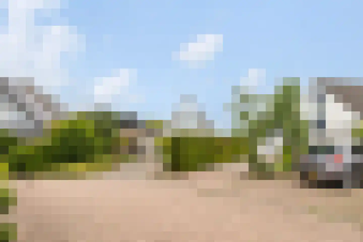 De Woudhorne 83 A Dokkum thumbnail 11