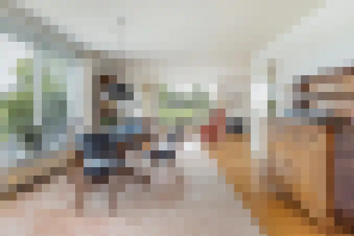 De Woudhorne 83 A Dokkum thumbnail 22