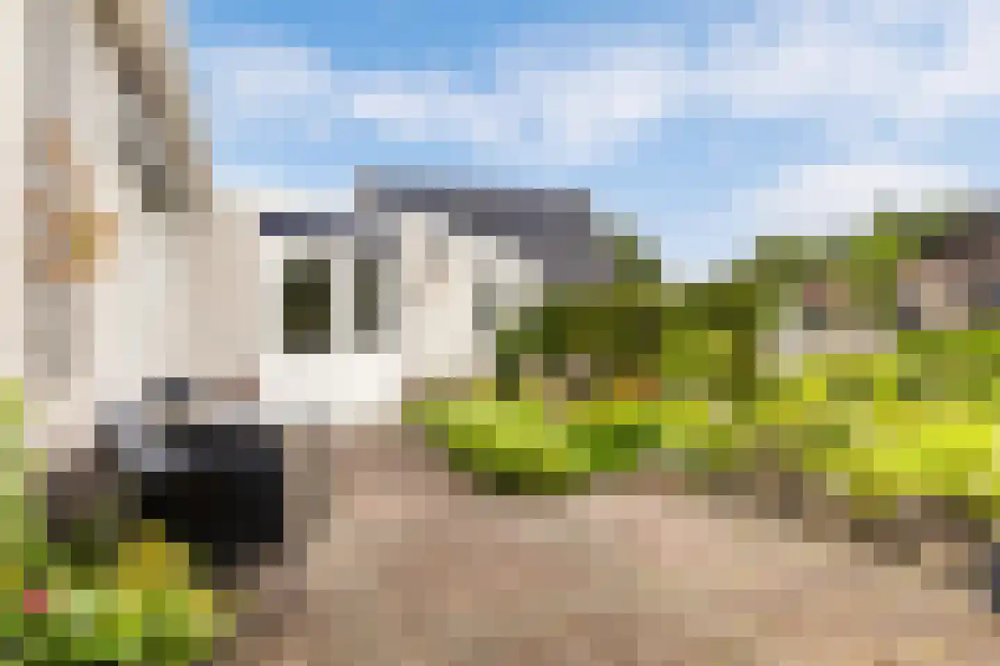 De Woudhorne 83 A Dokkum thumbnail 31