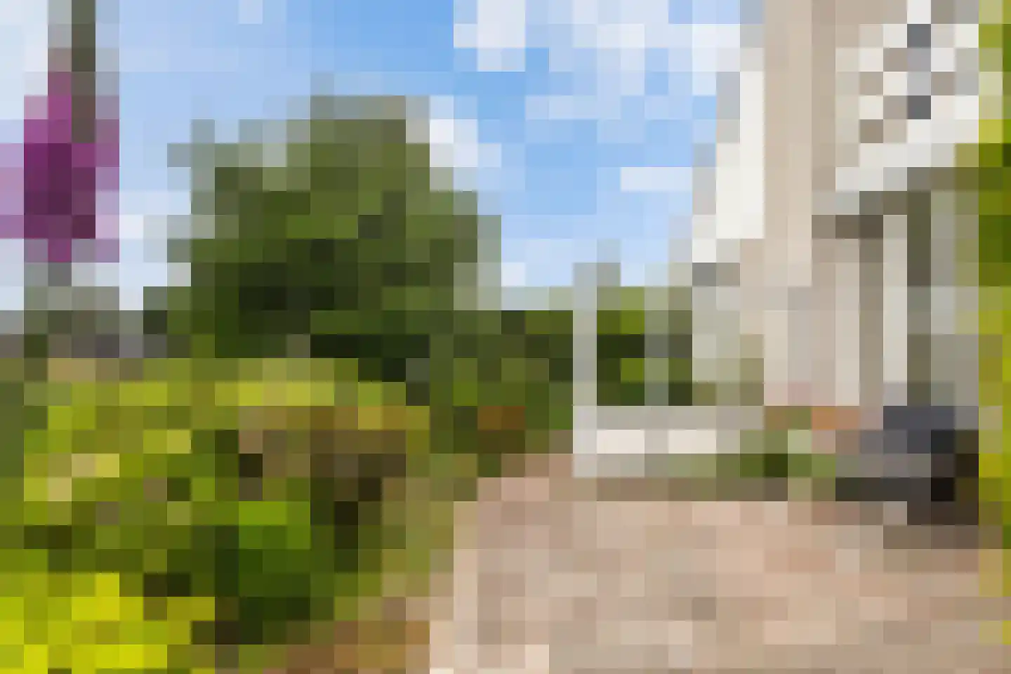 De Woudhorne 83 A Dokkum thumbnail 32